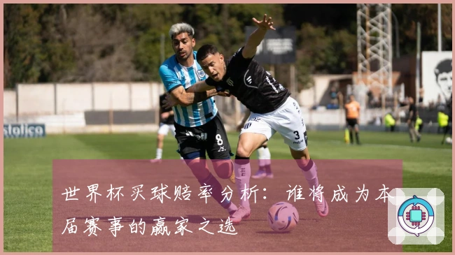 世界杯买球赔率分析：谁将成为本届赛事的赢家之选