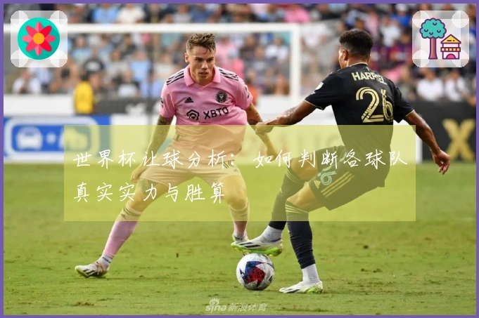世界杯让球分析：如何判断各球队真实实力与胜算
