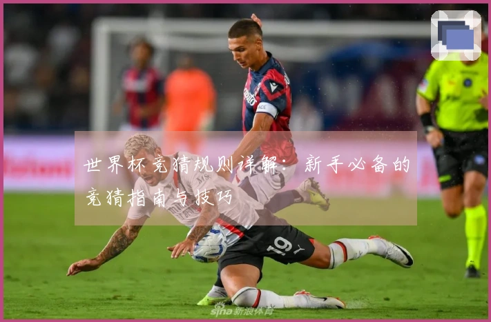 世界杯竞猜规则详解：新手必备的竞猜指南与技巧