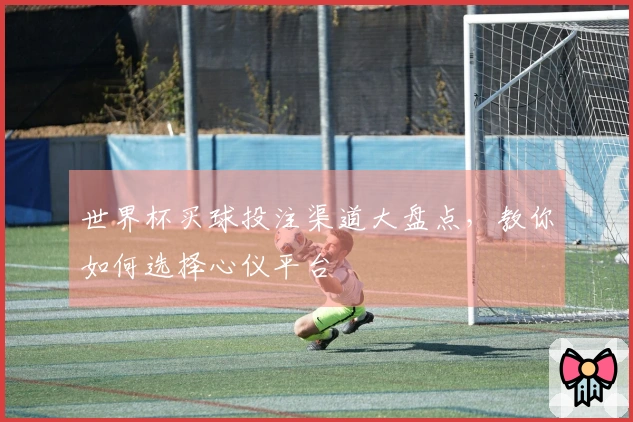世界杯买球投注渠道大盘点，教你如何选择心仪平台