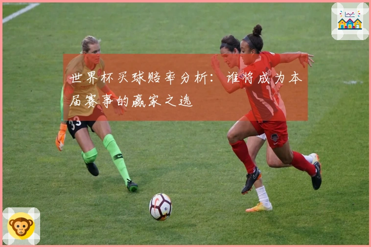 世界杯买球赔率分析：谁将成为本届赛事的赢家之选