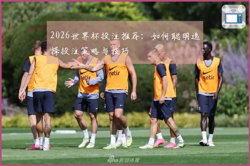 2026世界杯投注推荐：如何聪明选择投注策略与技巧