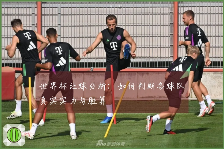 世界杯让球分析：如何判断各球队真实实力与胜算